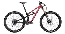 Mountainbike Canyon Spectral 29 CF - L