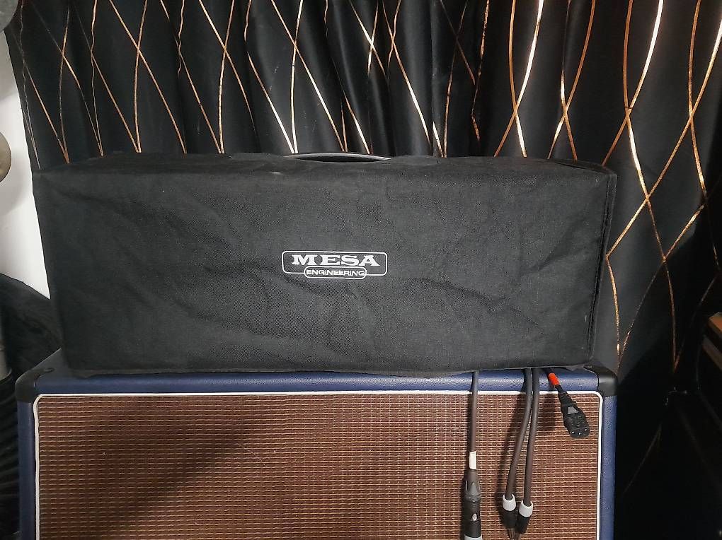 Amplificateurs: Mesa Boogie Single Rectifier Top – D'occasion à Zürich par luz_h99v 2