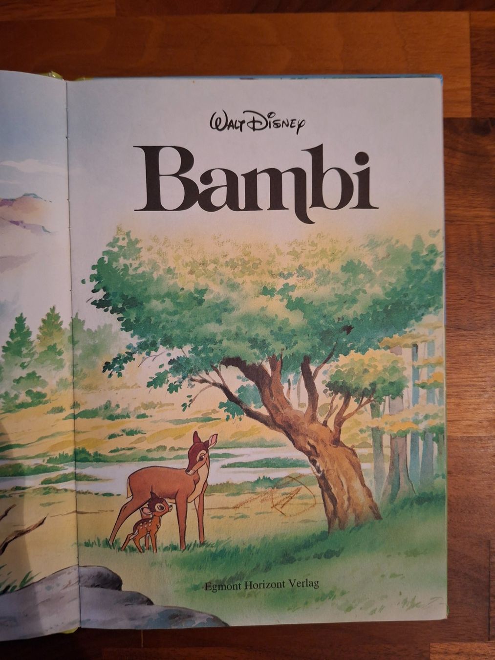 Libri: Walt Disney; Buch "Bambi" – Usato da Boniswil venduto da Totomat-Lady2 2