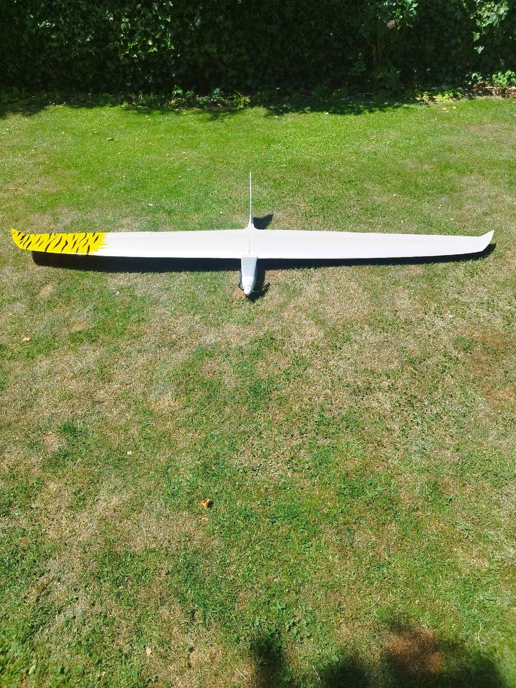 RC Kits de montage: Tigerhai – D'occasion à Menziken par Sintro 1
