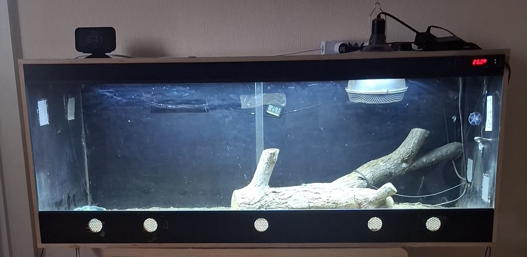 Terrarium: Terrarium complet pour Reptile – Gebraucht aus ONEX von lib_cg86 1