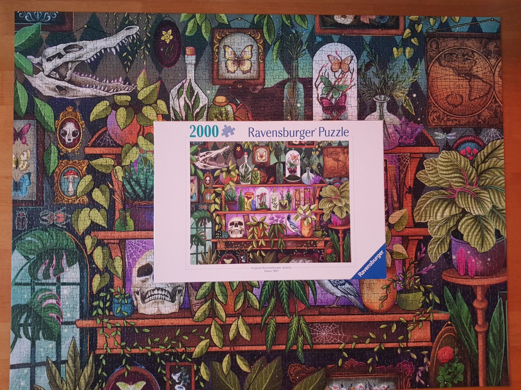 Puzzle: Puzzle von Ravensburger 2000 Teile – Nuovo (secondo la descrizione) da Thalwil venduto da SebastianH01 2