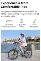 Neuwertiges Damen E-Bike