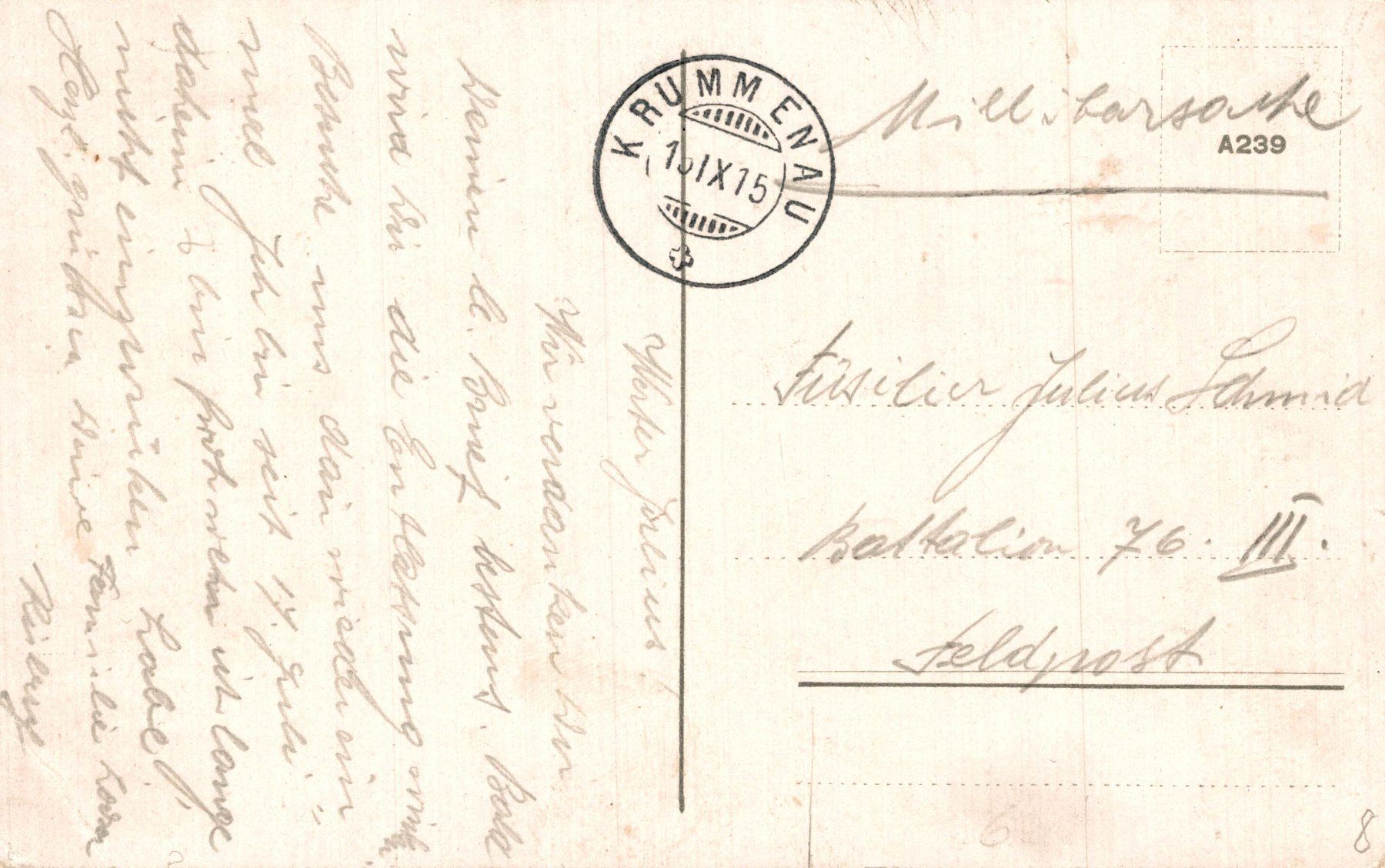 Cartoline postali: Toggenburger "Brautfudertragete" – Usato da Bronschhofen venduto da Astore 1