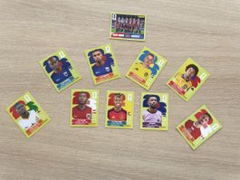 Stickers panini 