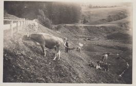 Graubünden   GR   (unbekannt)