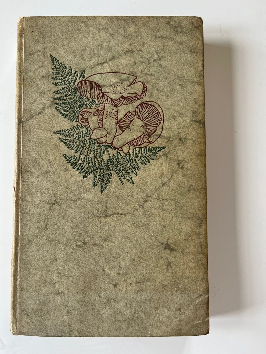 Libri: Kleine Pilzkunde Mitteleuropas 1960 – Usato da Laufen venduto da Nuria44 1