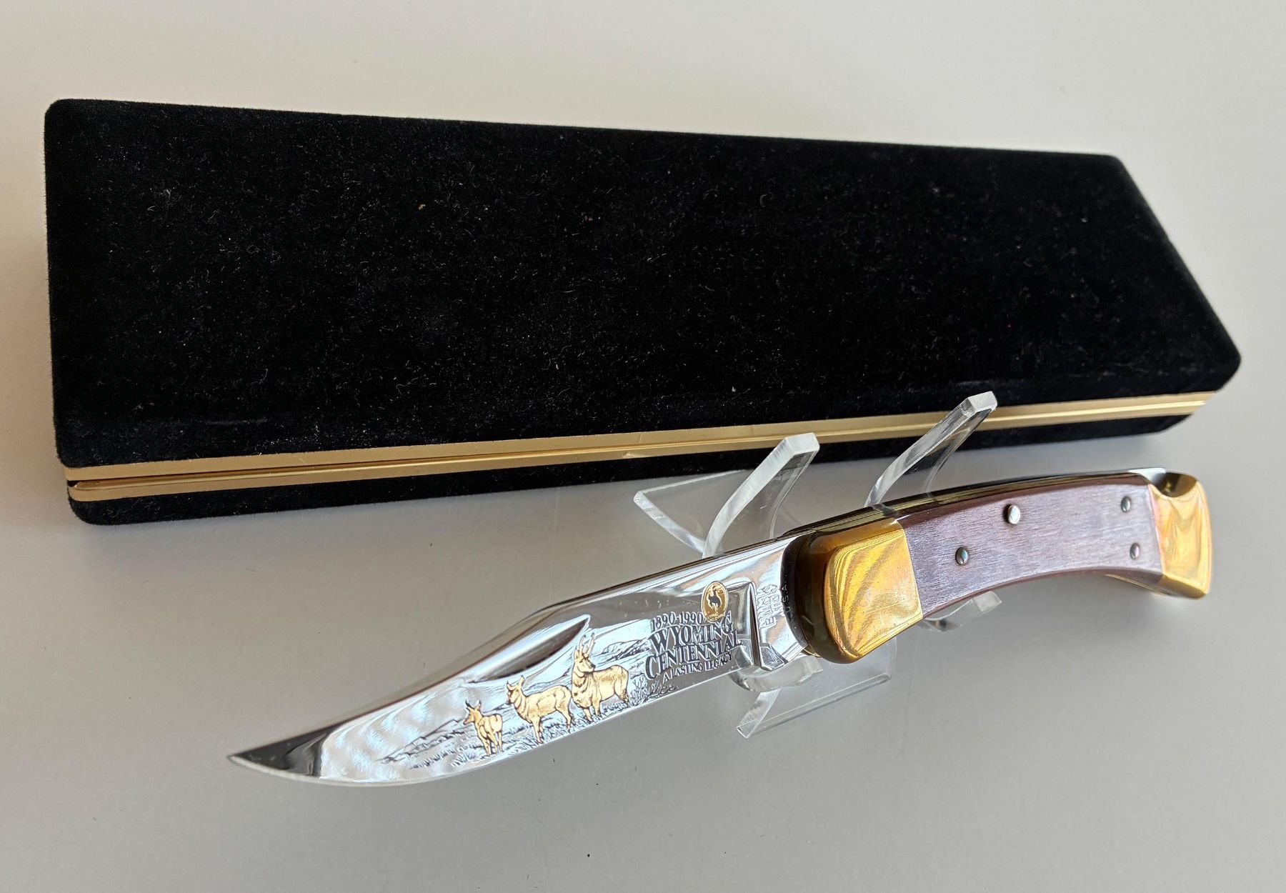 Buck Zubehör: BUCK MESSER USA – Neu und originalverpackt aus Bäretswil von robsonantik 4