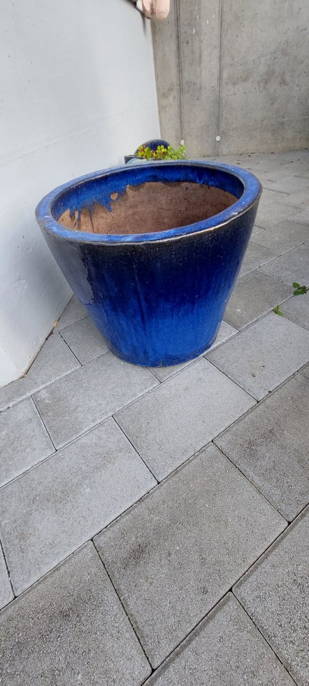 Vasi per fiori: Grosser Pflanztopf inkl. Leca Kugeln – Usato da RAMLINSBURG venduto da AUDITT1999