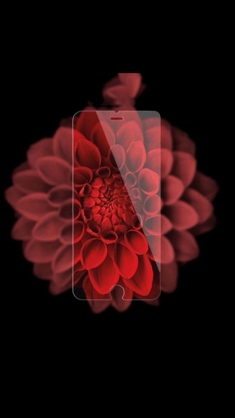 Bicchieri: 2 x Premium Iphone 6 /6S Panzerglas 9H – Nuovo e nell'imballaggio originale da Mels venduto da LocalShop 3