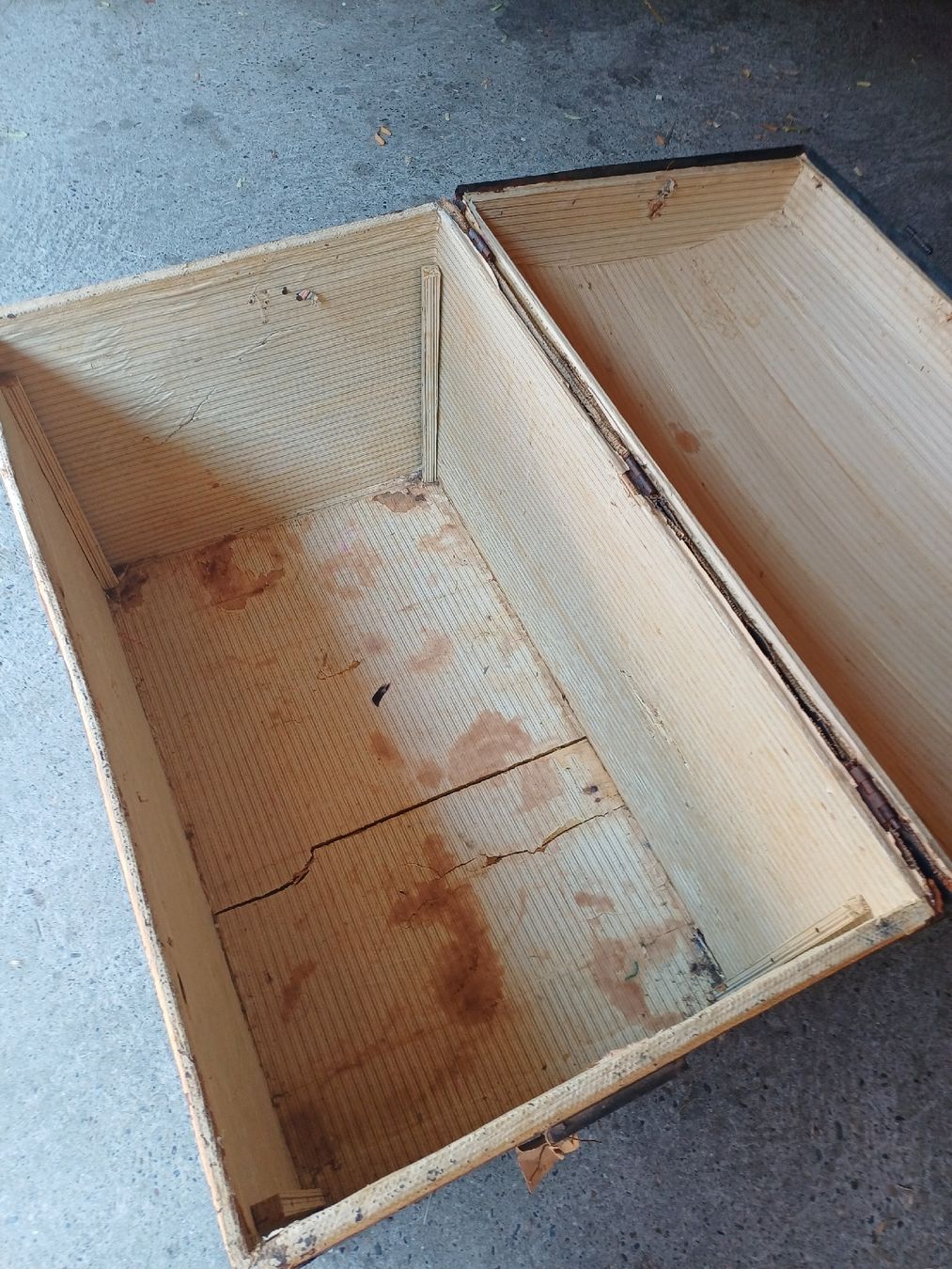 Cassapanche: Truhe Koffer braun antik – Usato da Zuckenriet venduto da Res. 2