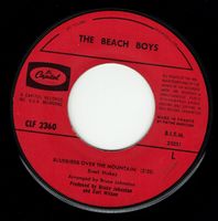 The Beach Boys – Bluebeards Over The Mountain, Vinyl Single