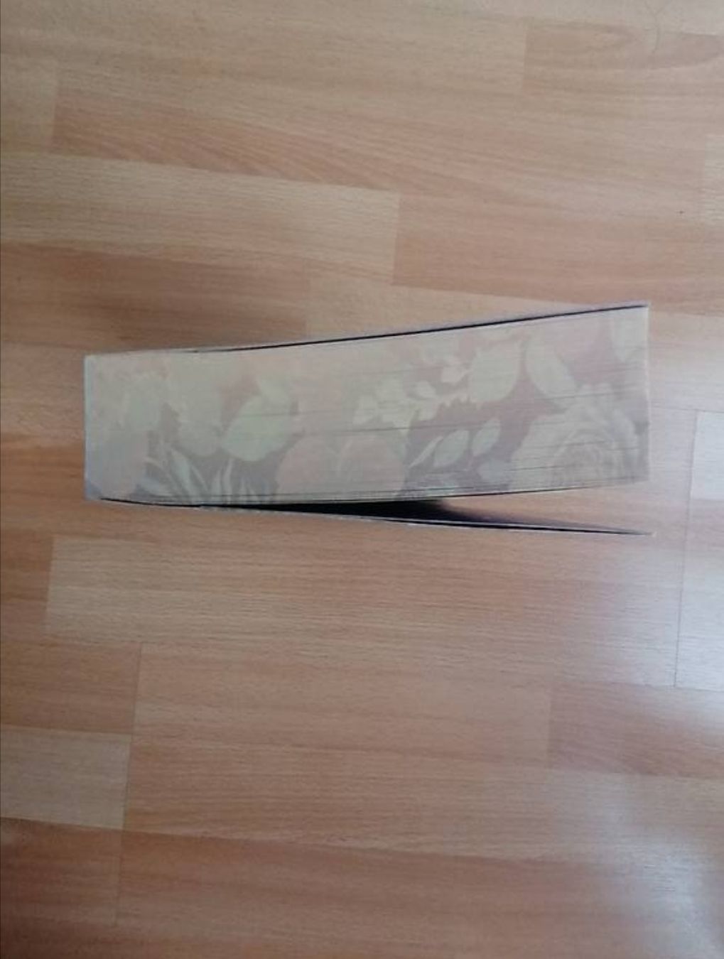 Libri: Will You Hold My Hand? – Nuovo (secondo la descrizione) da Hägendorf venduto da Fiooo 3