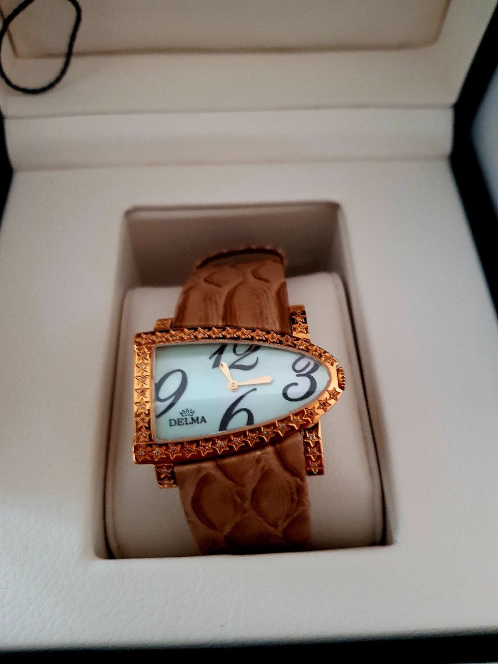 Delma Orologi: Delma Damenuhr(Neu) – Nuovo e nell'imballaggio originale da Bellach venduto da GSASTORE