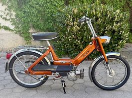 Wunderschönes Puch Maxi N