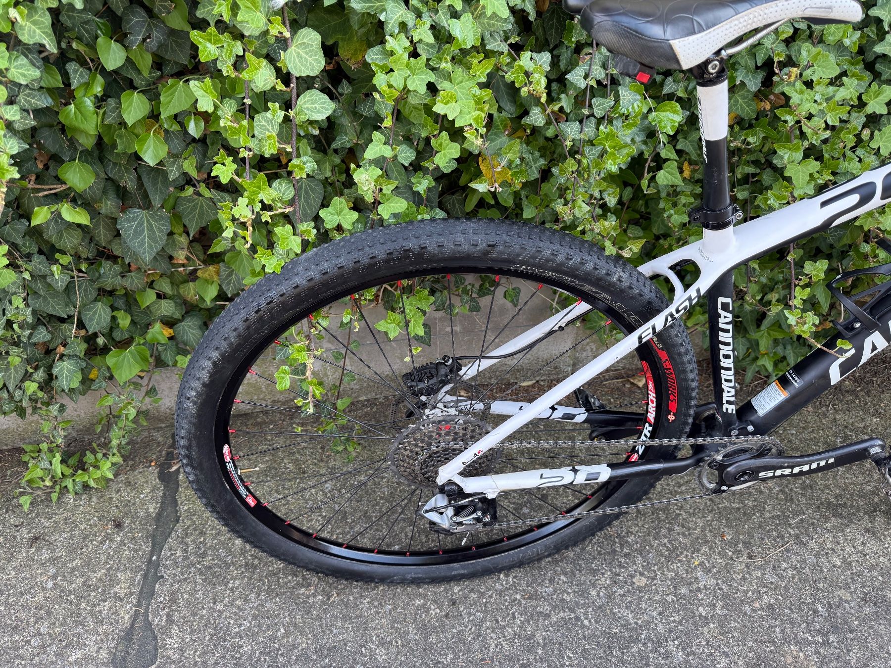 Cannondale Biciclette: Cannondale Flash 29er, Top Zustand! – Usato da Lenzburg venduto da aime2010 3