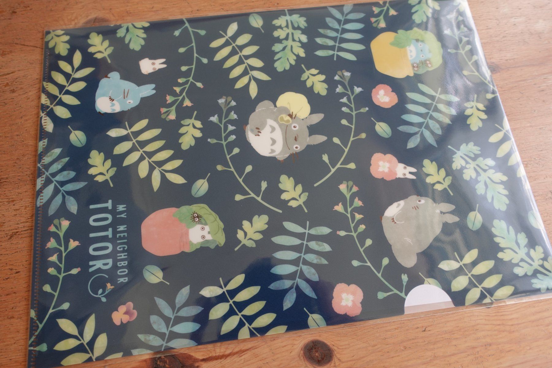 Valigie & Borse: Ghibli Totoro - Clear File Mäppli – Nuovo (secondo la descrizione) da Ettiswil venduto da maimaiswiss