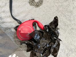 Flexileine Rot, Hundeleine mit Kotbeutelspender & Kette
