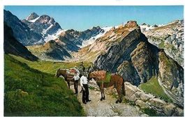 Megisalp Weissbad AI mit Altmann 2 Maultier sehr gut erhalte