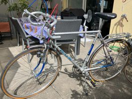 Klassiker von Mondia - cooler Halbrenner