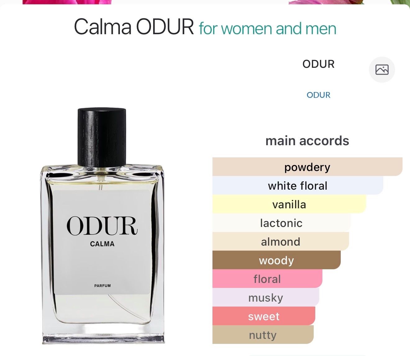 Profumi & Eau de Toilette: ODUR Calma – Nuovo (secondo la descrizione) da Winterthur venduto da Selinnn 1