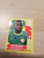 Panini WM 2026 SEN 8