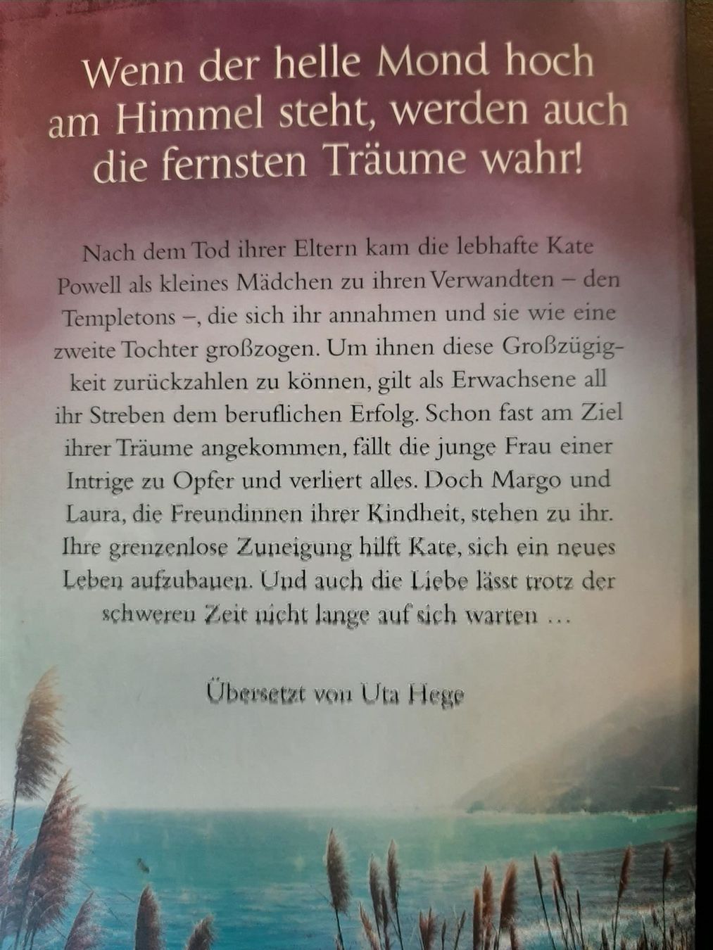 Libri: Nora Roberts: So hell wie der Mond – Usato da Affoltern am Albis venduto da Sabinezc 1