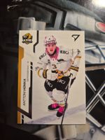 Anttoni Honka HC Ajoie Sportzoo 2024/25