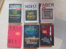 Buchpaket Thriller/ Krimi - Diverse Autoren - 6 Stück