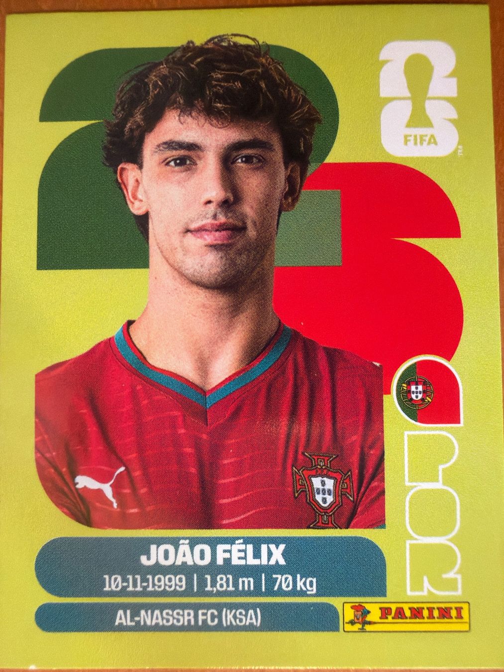 Panini Sammelbilder & Trading cards: Panini POR17 – Neu (gemäss Beschreibung) aus Susten von Rechnun