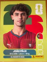 Panini POR17