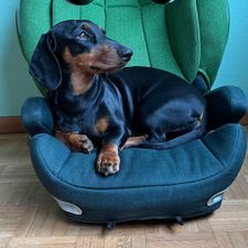 Profile image of nicht_neu