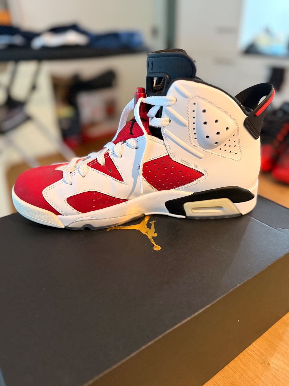 Nike Scarpe da uomo: Nike Jordan 6 Retro – Usato da Rothenburg venduto da Ice20 3