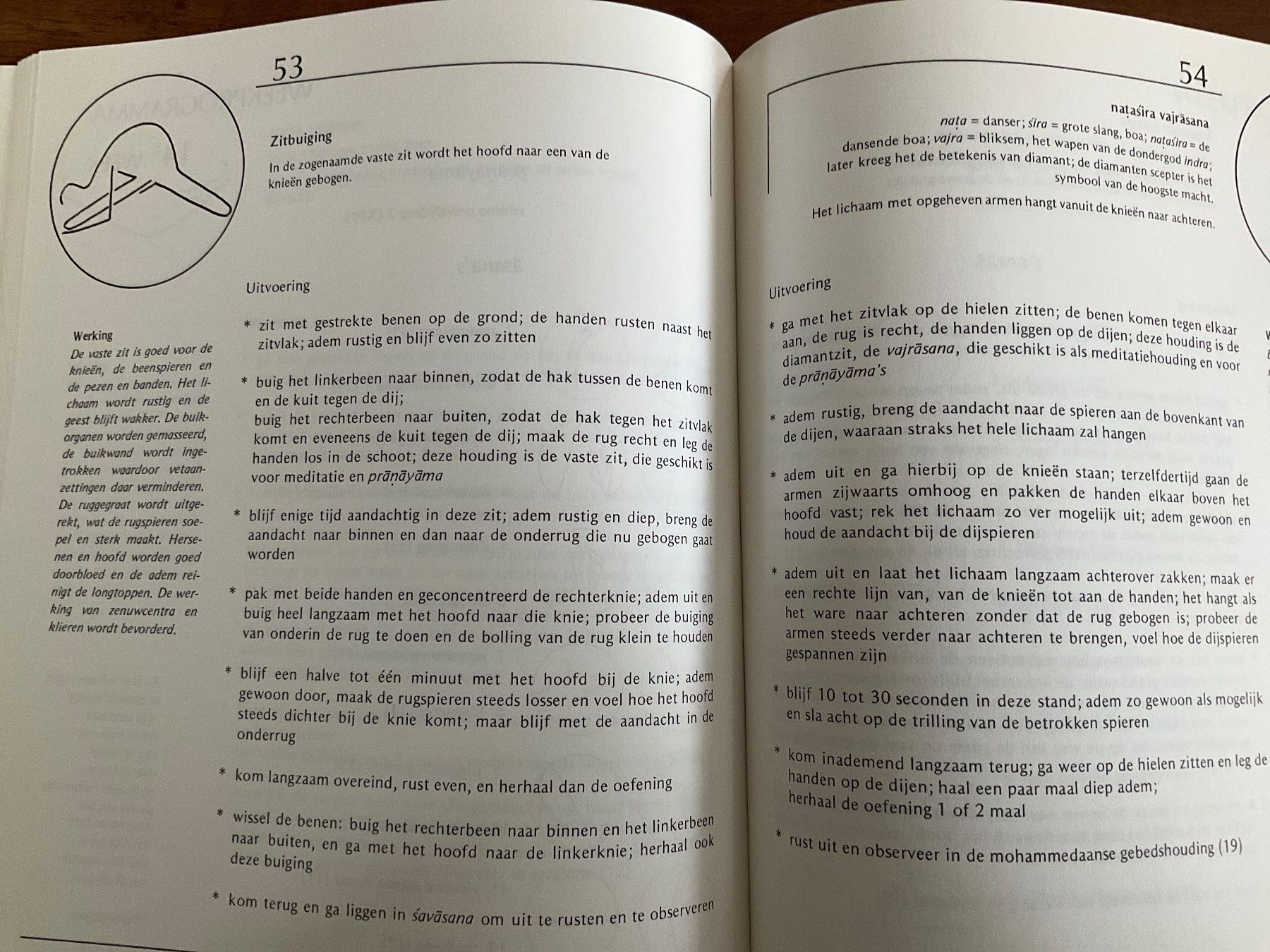 Bücher: Hatha yoga werkboek: 52 weekprogrammas's – Gebraucht aus Avenches von Lactobacille 2
