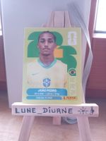 Carte Panini 2026 João Pedro BRA16