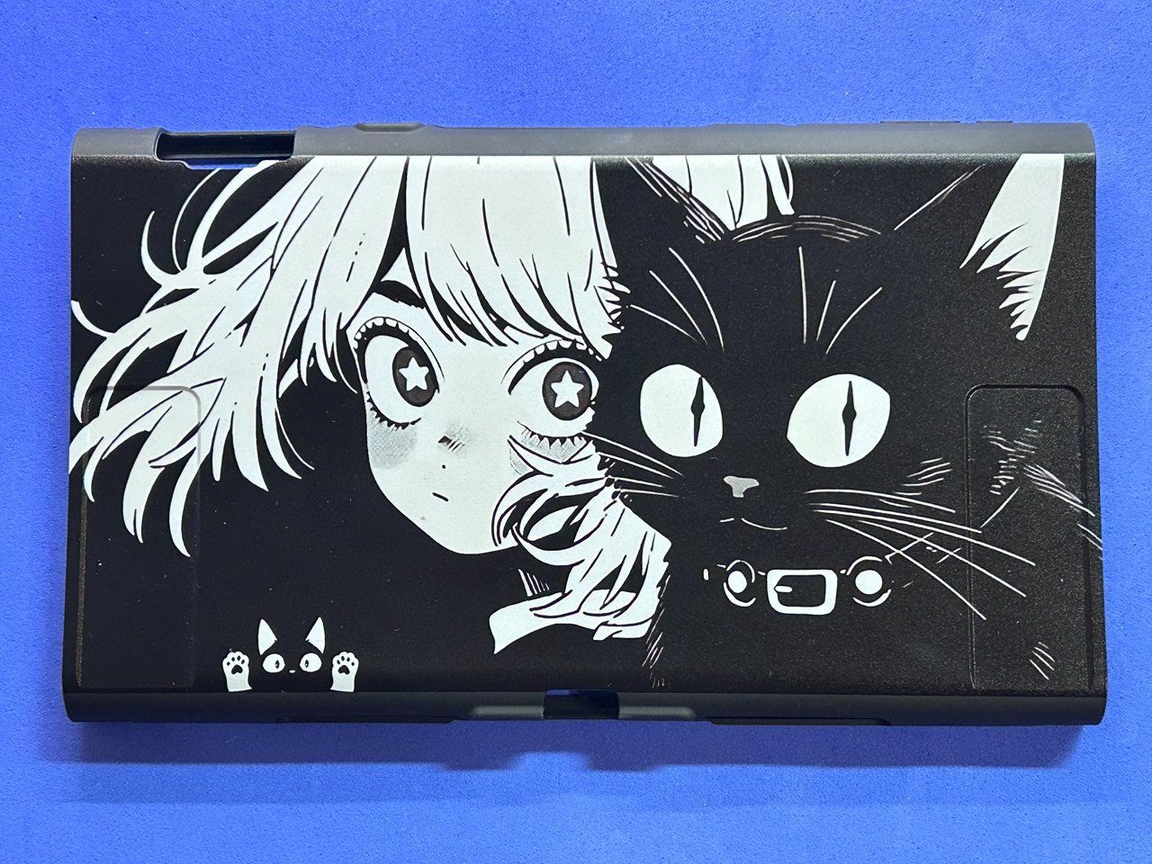 Custodie protettive: Cover Nintendo Switch 2 - 11.5 cm x 20 cm – Usato da Giubiasco venduto da LorisVale