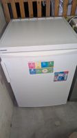 Liebherr Mini Kühlschrank