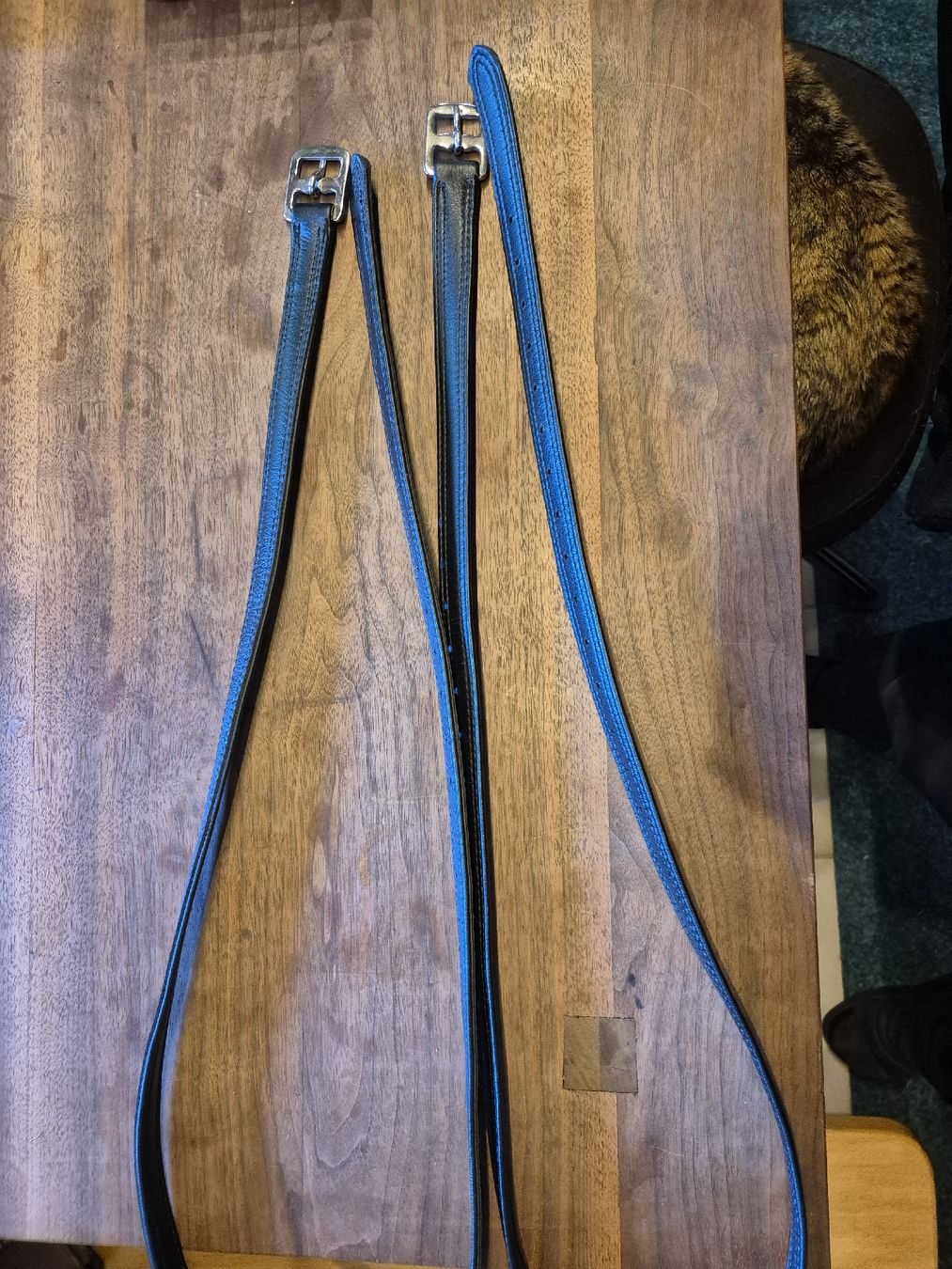 Selle & Accessori: Steigbügelriemen – Nuovo (secondo la descrizione) da Kaltacker venduto da Paedu93 1