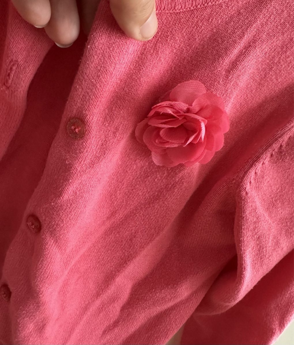 Maglioni & Felpe: Nutmeg Pullover – Usato da Dürrenroth venduto da tvy_bh56 1