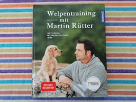 Welpentraining💥🌞Martin Rütter 💥auf partnerschaftliche Art