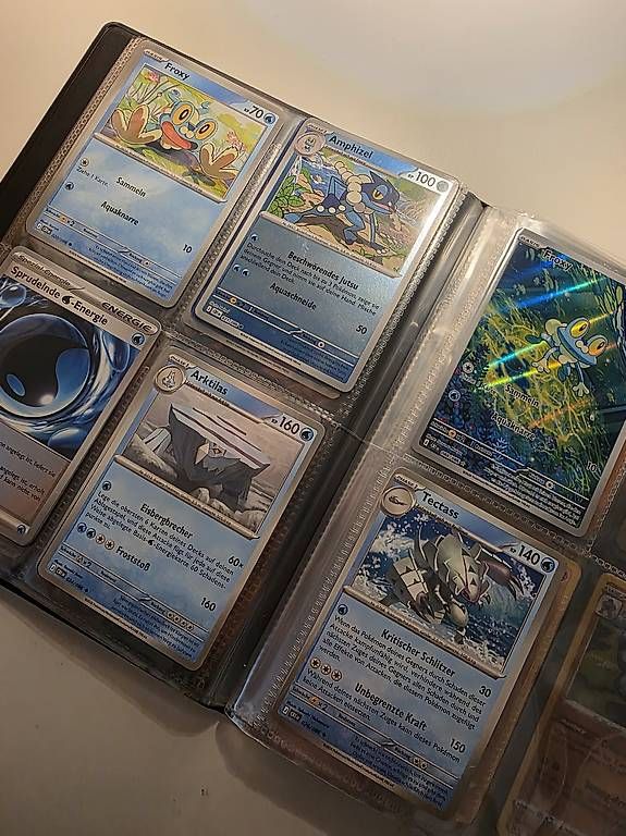 Pokémon Carte collezionabili: Pokémon Portfolio & Karten – Usato da Jens venduto da tra_da87 2