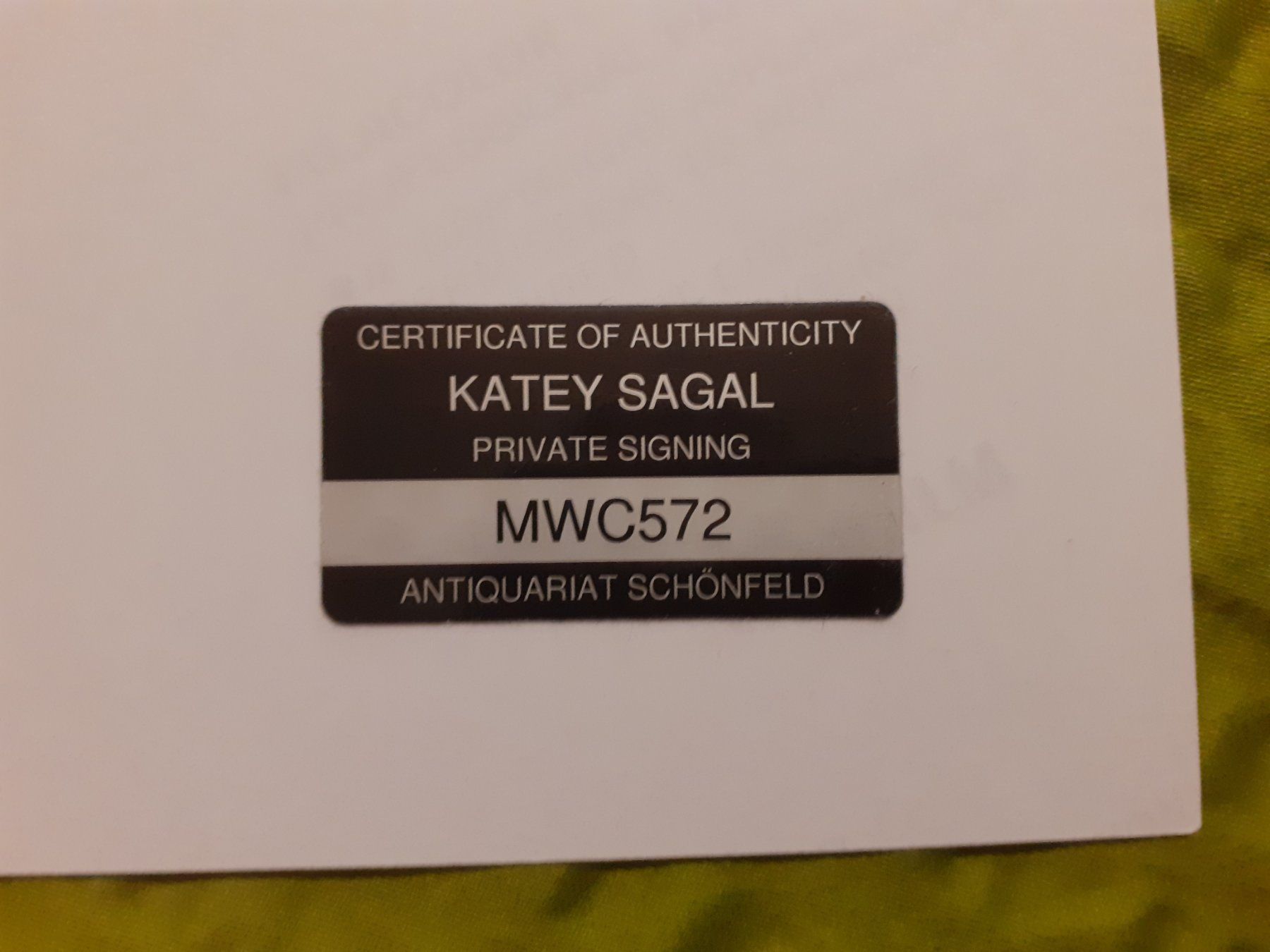 Autografi: Katey Sagal / Peggy Bundy – Usato da Liebefeld venduto da type013 2
