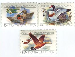 Briefmarken "Enten". UdSSR.