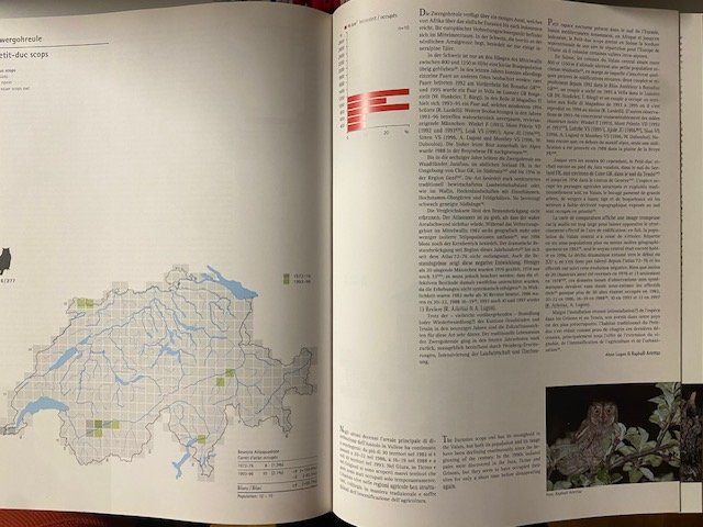 Libri: Schweizer Brutvogelatlas. Verbreitung etc. – Usato da Sulz AG venduto da fischueberalles 2