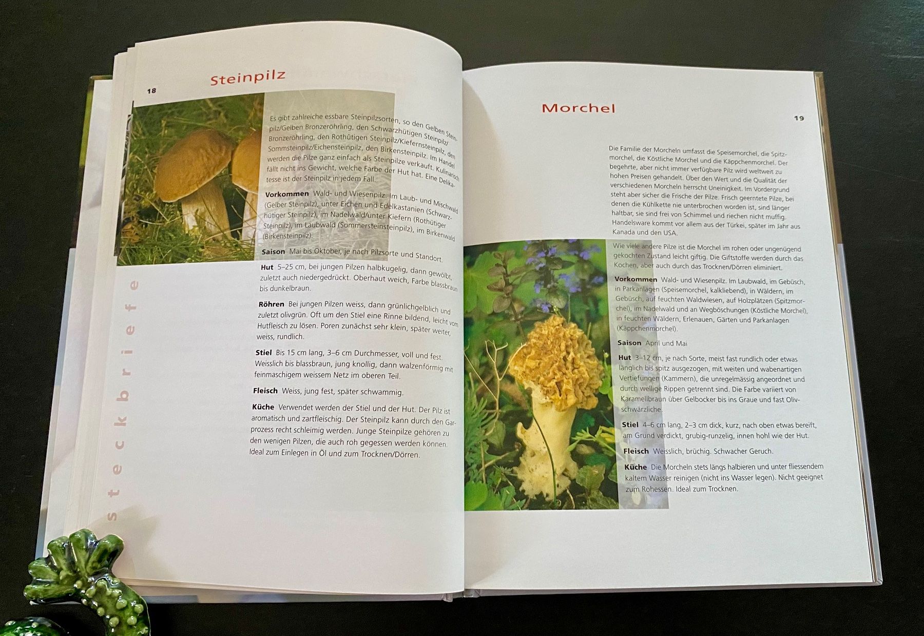Libri: Kochen mit Zucht- und Waldpilzen – Usato da Nussbaumen AG venduto da schuba2000 4