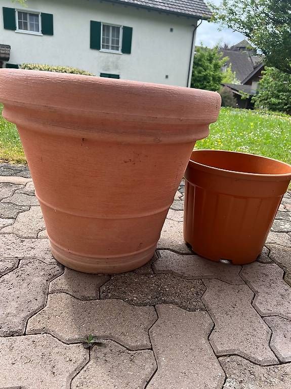 Blumentöpfe: Blumentopf – Gebraucht aus Oberembrach von Herbstfreude 3