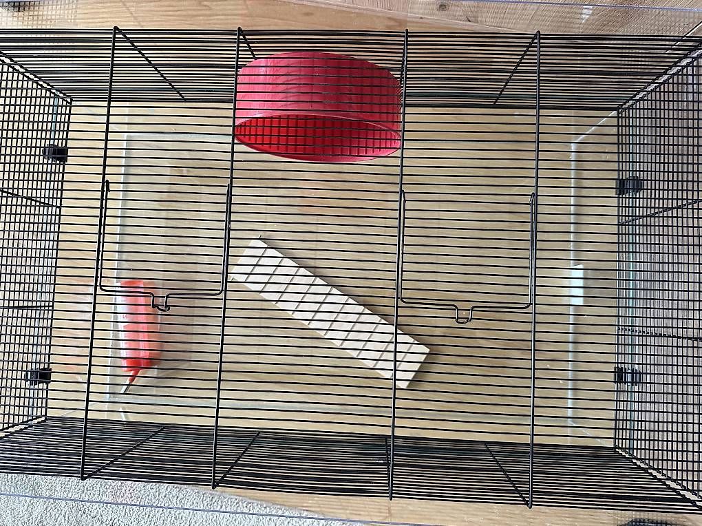 Cages, transport & sécurité: Hamsterkäfig – D'occasion à Sargans par Real1394 1