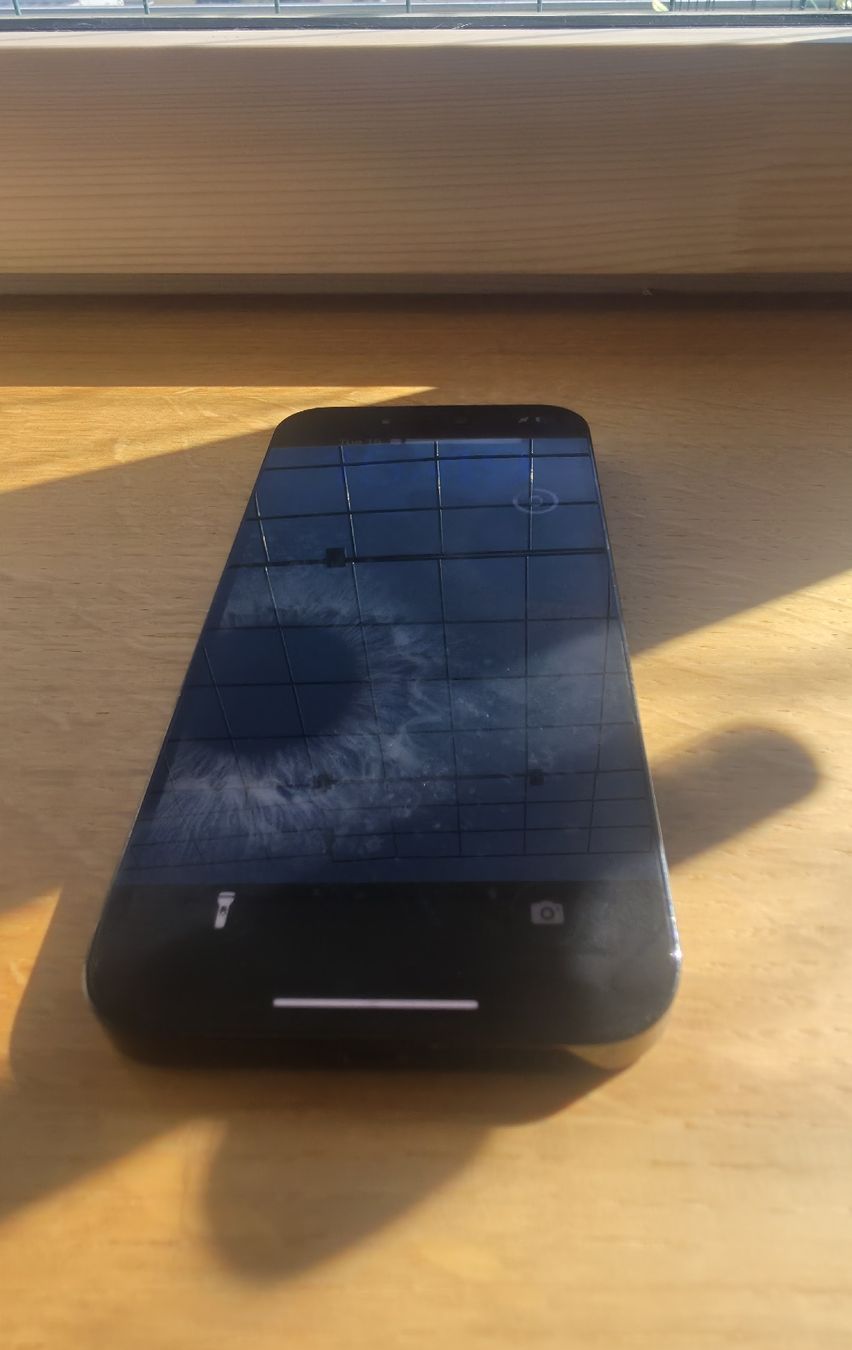 Apple Telefoni cellulari / Smartphones: iPhone 14 Pro Max schwarz 256GB + 5 Cases – Usato da Homburg venduto da csoler1 3
