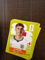 Panini Cole Palmer ENG 12 & viele mehr