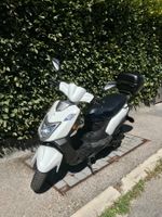 Roller Libra PGO 65km/h
